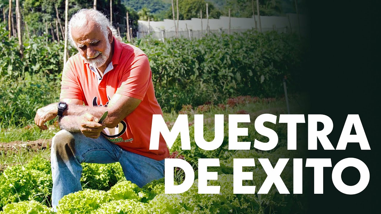 TESTIMONIO DE EXITO EN LA AGRICULTURA ORGÁNICA | Jairo Restrepo Rivera 🐮 | Natturi Organic Food 🥬