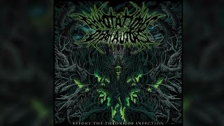 Annotations Of An Autopsy - ''Before The Throne Of Infection'' [FULL ALBUM]