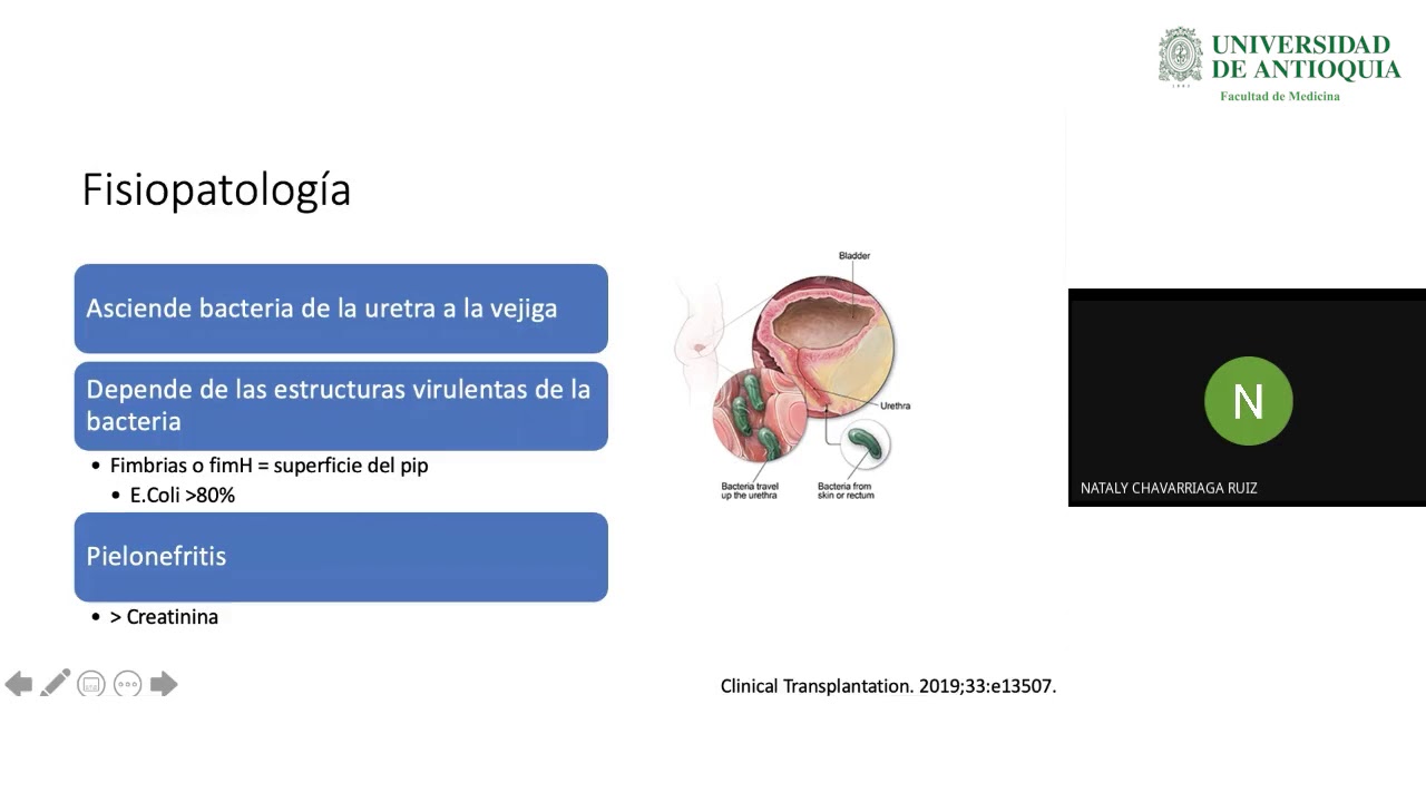 Nataly Chavarriaga Ruiz-19