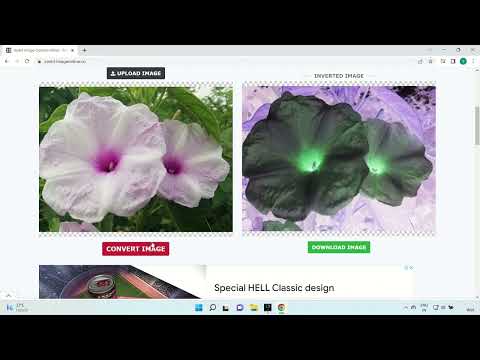 How to Quickly Invert Image Colors Online