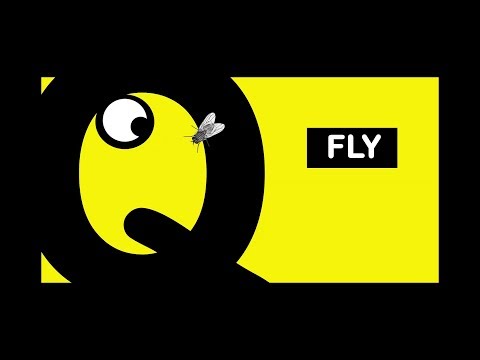 Fun Facts About Flies