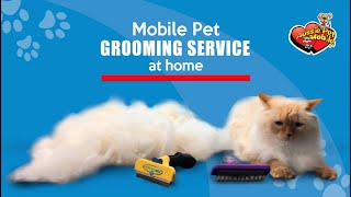 Mobile Pet GROOMING SERVICE at home🐶🏘