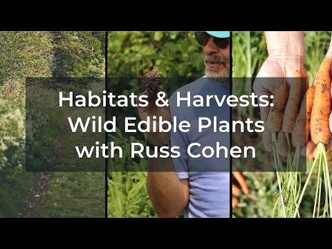 Wild Edible Plants 2021