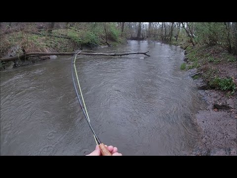 Tying a Fly and Fishing in the Rain