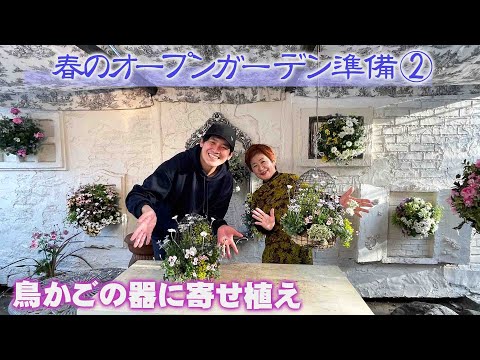 コウノトリを庭に呼び込むにはどうすればよいですか？巣はどうやって作るの？  庭園