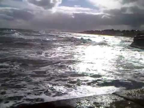 bridlington harbour wall.european beach sea fishing championship,10/03/2013