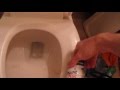 Jello Old Moldy And Milkshake Down Unbranded Toilet Pressure Lite