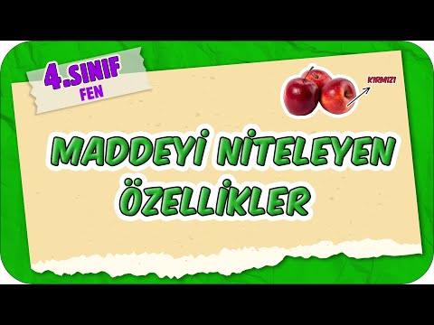 Maddeyi Niteleyen Özellikler 📗 4.Sınıf Fen #2025