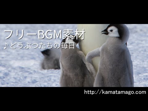 YouTubeサムネ