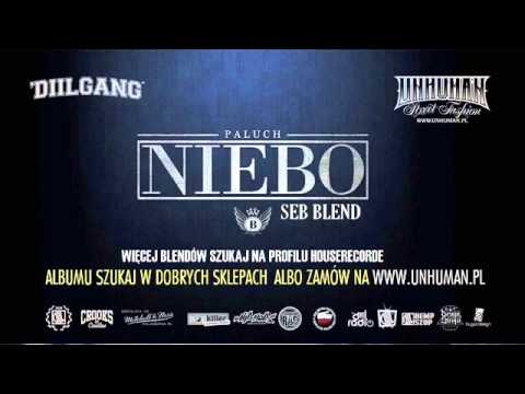 Paluch - Nie mam wyrzutów sumienia ft. O.S.T.R (Seb Blend)