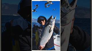 開始早々、大物キングサーモンGET!🎣 | King Salmon Fishing in California