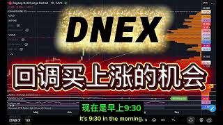 DNEX 回调买上涨的机会! 中英字幕 ENG SUB
