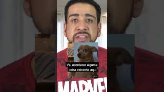 CÃES E FOGOS DE ARTIFÍCIO - O MEDO PREDOMINA?