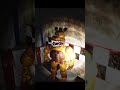 The SCARIEST Fredbear Encounter