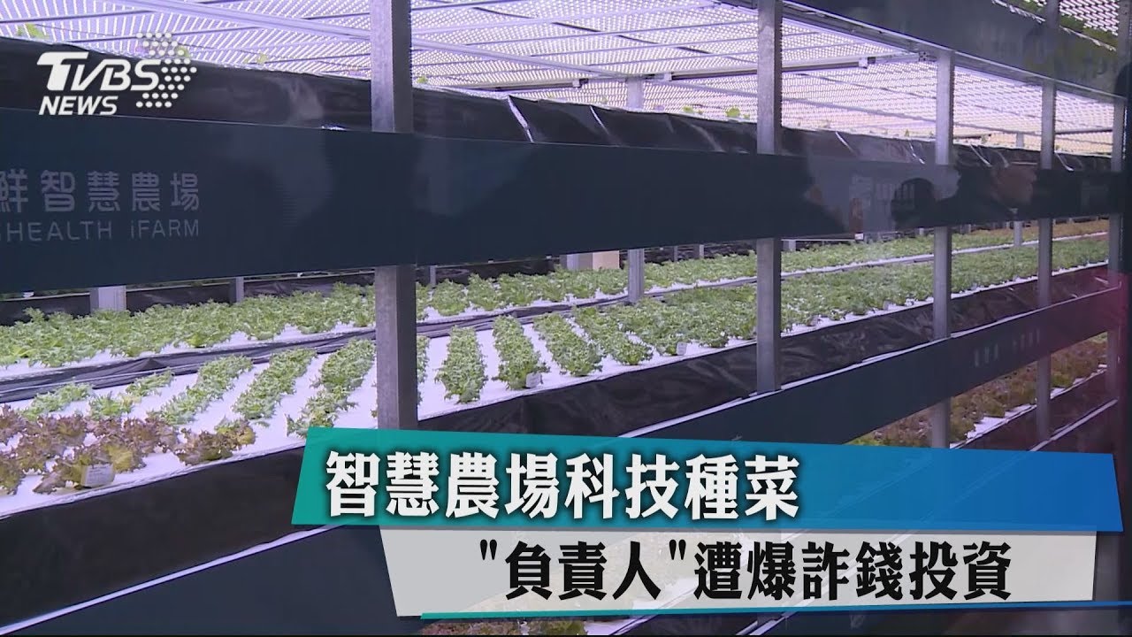 智慧農場科技種菜 「負責人」遭爆詐錢投資