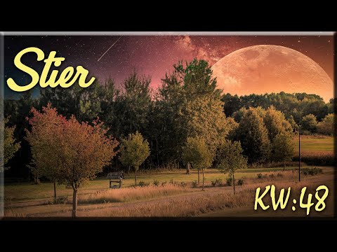 ♉ Stier - KW 48 ♉  -  Tarot Wochenausblick  -