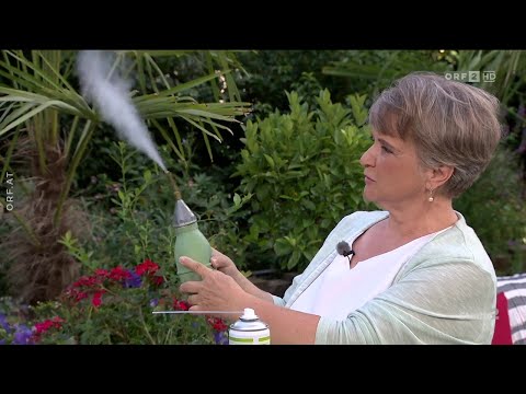 Marianne Jäger - geflügelte Ameisen