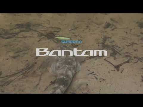 Shimano Bantam BT Bait 9.9cm 6g #007 Chart White F