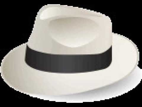 Sinatra Software Wikipedia Audio Article