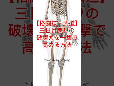 【一瞬で劇変】三日月蹴りの威力を爆上げする方法｜格闘技・武道