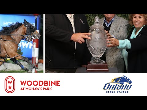 2019 OSS Gold Super Finals: 3YO Colts & Geldings Pace | Woodbine At Mohawk Park: October 12 - Race 8