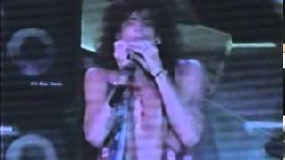 Aerosmith Young Lust Live Chicago '94