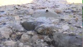 ecco-come-si-spreca-l-acqua-in-irpinia