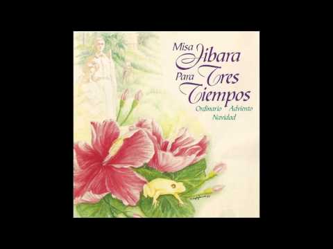 download lagu mp3 mp4 Virgen De Providencia, download lagu Virgen De Providencia gratis, unduh video klip Virgen De Providencia