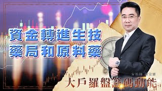 資金轉進生技 藥局和原料藥 (圖)