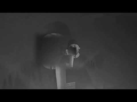 ZAMTARI LIVE - MONTANA