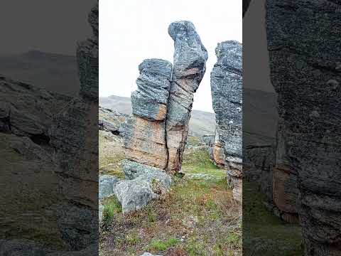 Por las alturas de mi querido pueblo, caserío de Parashapampa - Yarowilca - Huánuco 🇵🇪