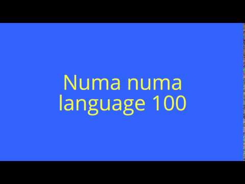 Numa numa language 100