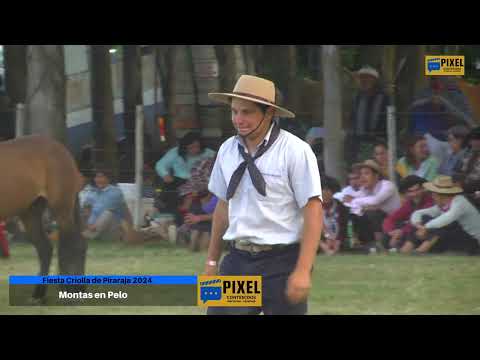 Fiesta Criolla Piraraja 2024  - Montas en Pelo