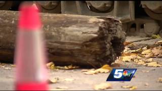 Public works employees unearth artifacts from city's past