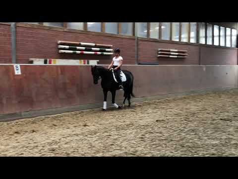 Fürst Wilhelm Hoftanz Quattro