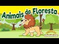 Turma Do Cristãozinho Animais Da Floresta