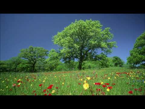 Probspot - FlowerPower