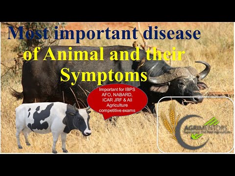 , title : 'Animals Important Disease | पशुओं के महत्वपूर्ण रोग | IBPS AFO | NABARD | AGRIMENTORS CHANDIGARH'