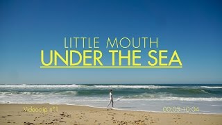 Little Mouth - Under The Sea