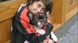 Naked brothers band Hardcore restler