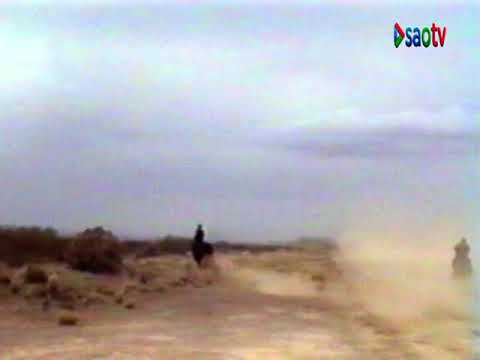 JORNADA HIPICA EN SAO -1995