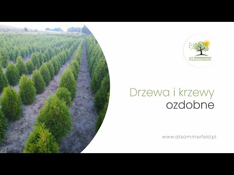 Zobacz filmy, AT Sommerfeld Gospodarstwo szkółkarskie, Pogrzymie