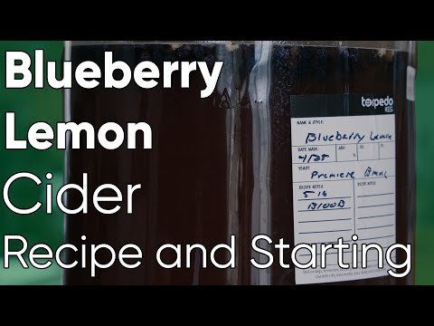 Blueberry Lemon Cider - BJCP Style C2B - Recipe and Starting