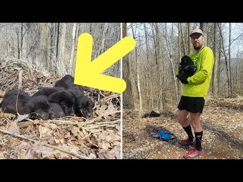 download lagu mp3 mp4 Rustling Spots, download lagu Rustling Spots gratis, unduh video klip Rustling Spots