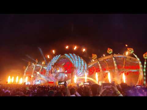 Gasolina vs Mad Obsession 2022 (Alan Walker EDC Mexico 2022 Mashup)