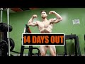 FULL LEG DAY WORKOUT | 14 DAYS OUT | ENJOY THE SUFFER
