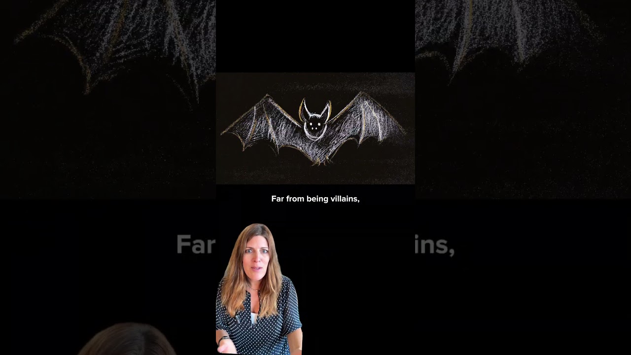 The Bat Paradox #shorts #explained