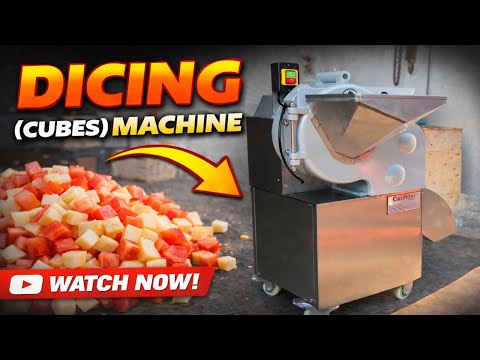 Vegetable Dicing Machine