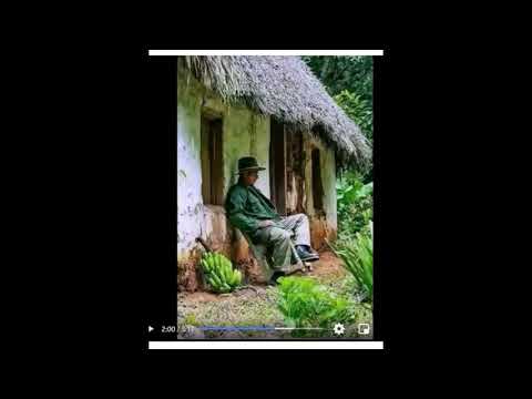 Me Acostumei Sem Você