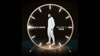 Craig David ft. GoldLink - Live in the Moment (2018)
